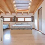 Lovely House In The Peacefull Place Of